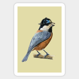 Varied tit Sticker